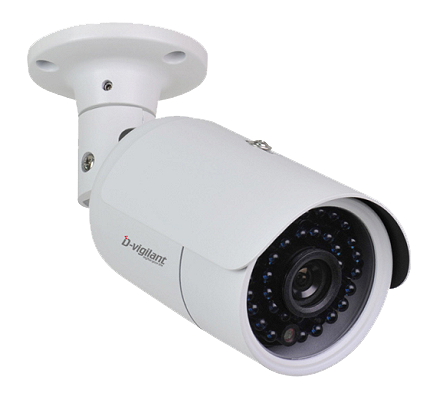 IP-видеокамера D-vigilant DV71-IPC3-i24, 1/2.5